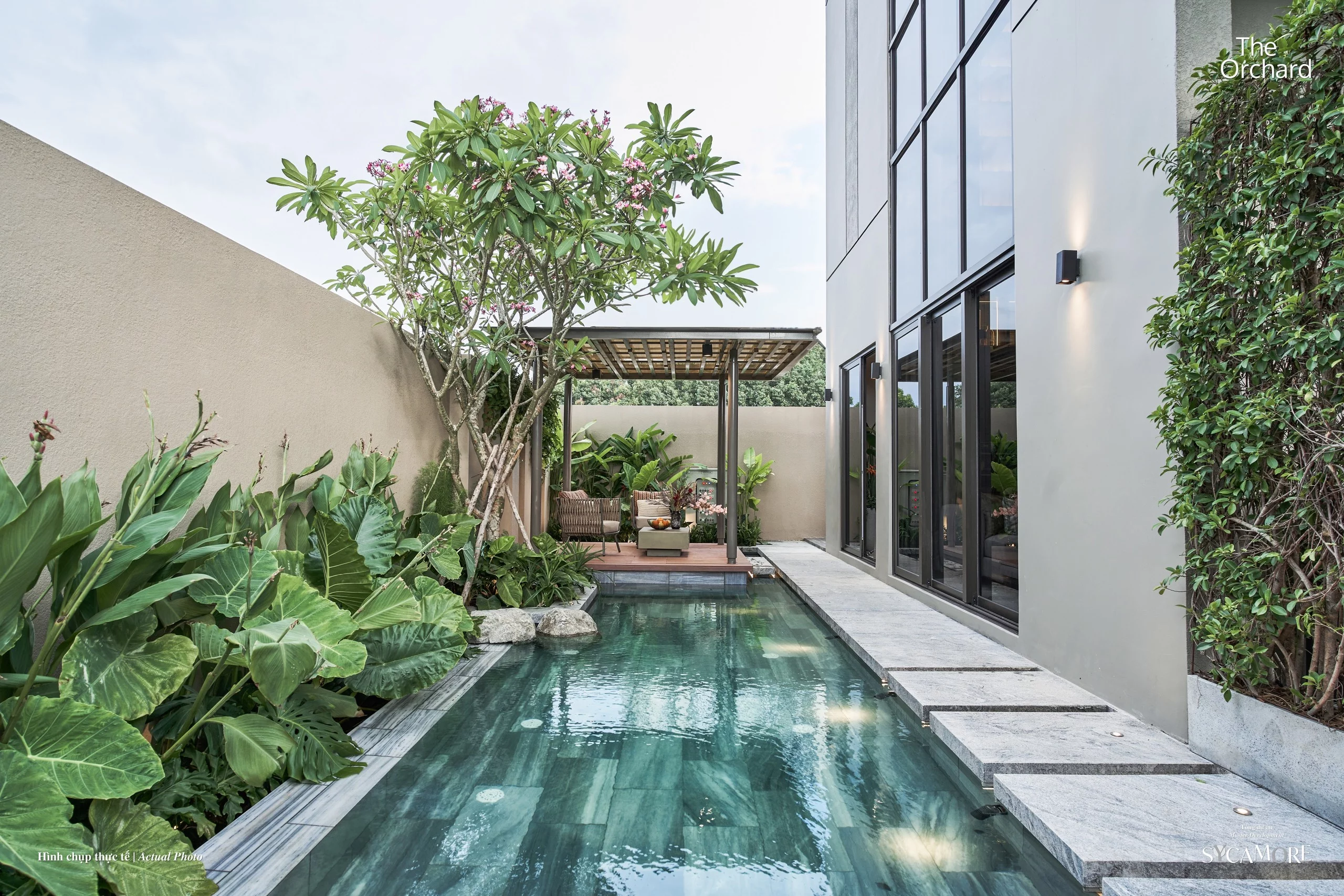 Nhà mẫu The Orchard - Dự Án Sycamore