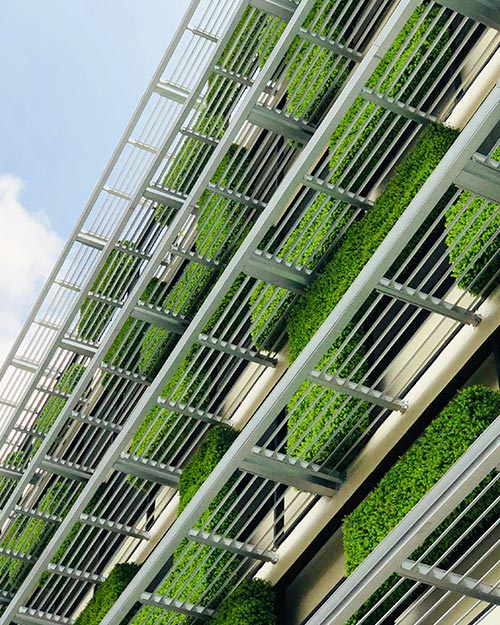 Dự án Sycamore Bình Dương