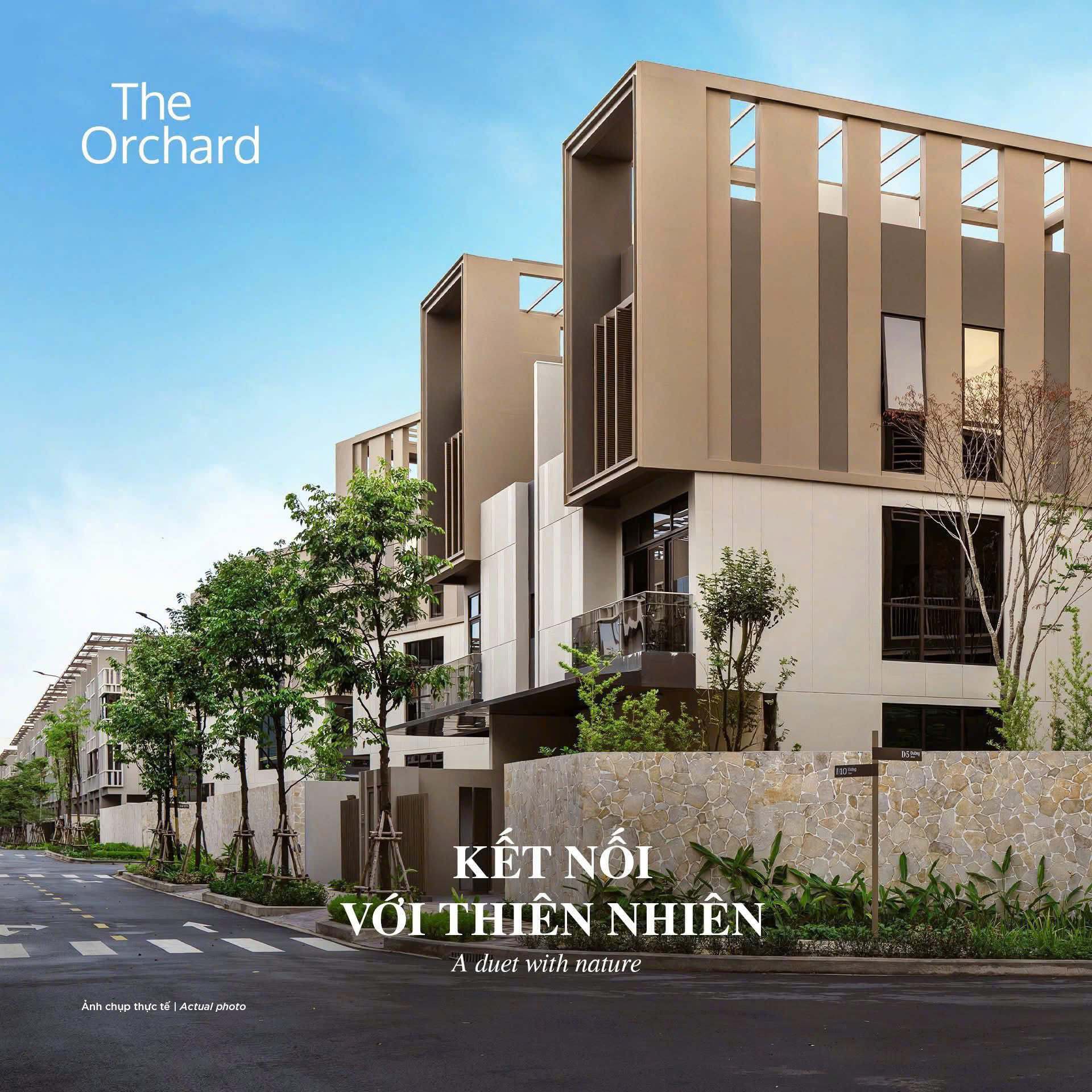 The Orchard Sycamore - Biểu tượng thấp tầng đầu tiên tại Đại đô thị